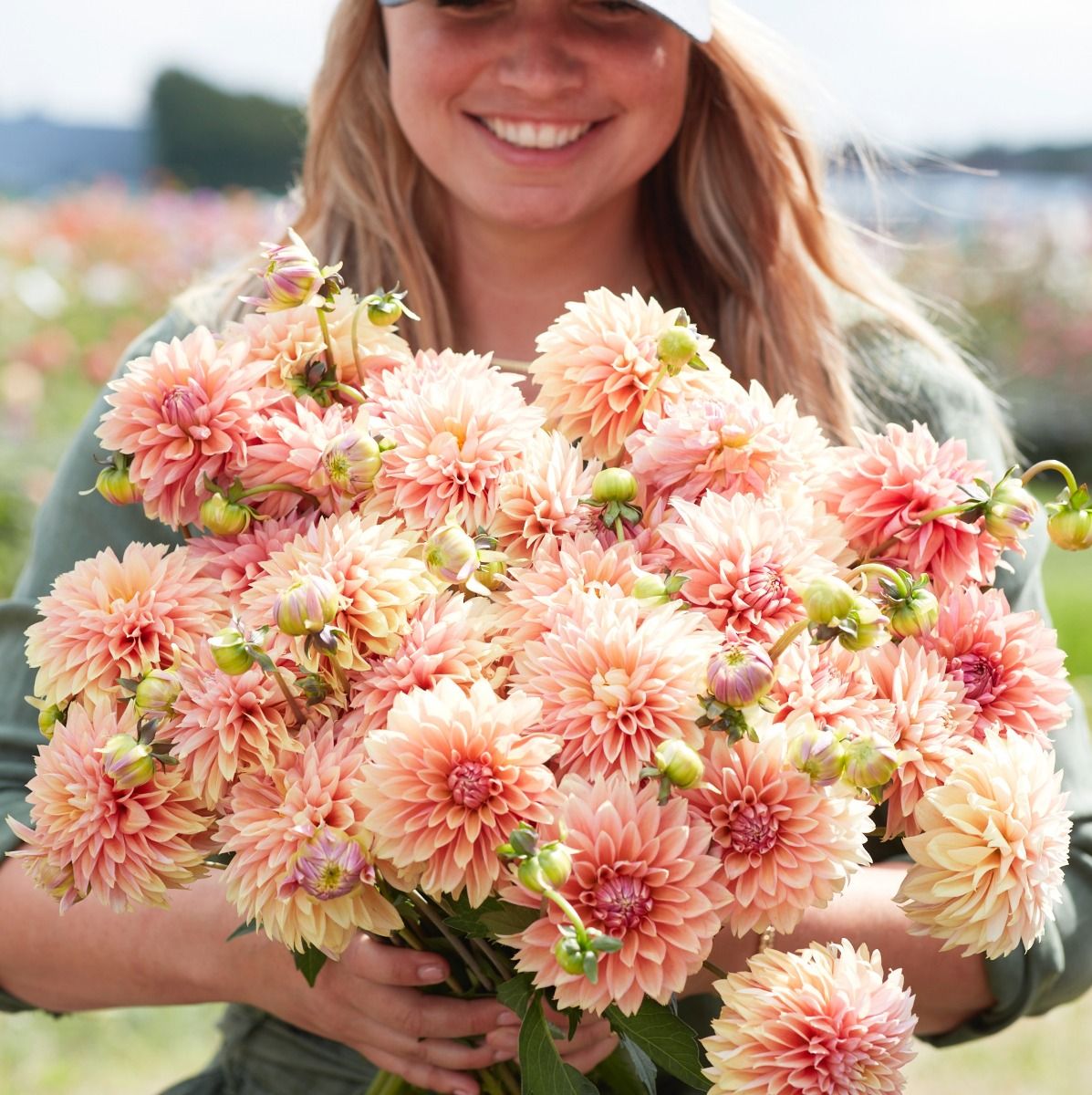 Dahlia Kick Off