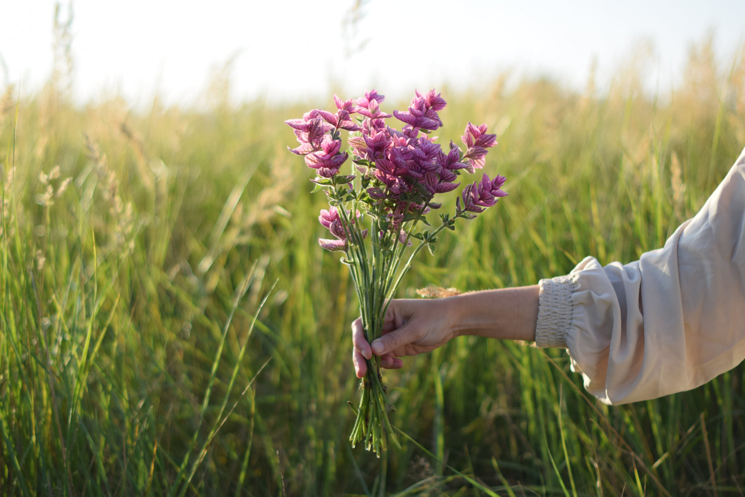 Fyllnadsblommor